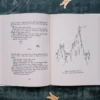 The Little Prince open